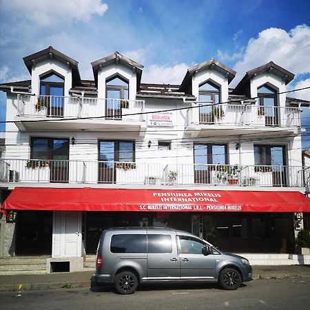 Hotel Pensiunea Mikelis International Curtea de Argeş Exteriér fotografie