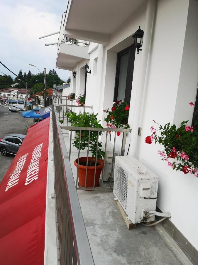 Hotel Pensiunea Mikelis International Curtea de Argeş Exteriér fotografie